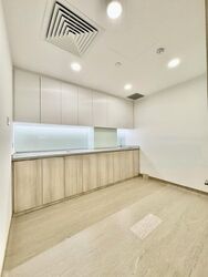 Mount Elizabeth Hospital (D9), Retail #484101401